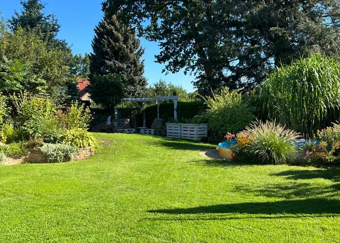 Waldfee * Kolonie Rontgental